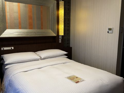 東京押上普瑞米爾里士滿酒店優惠