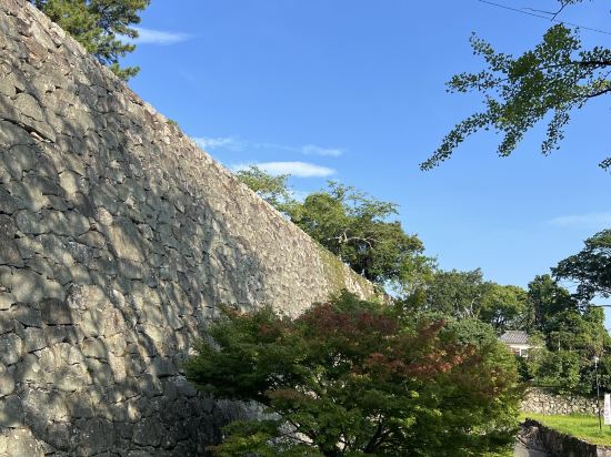 ジャストイン松阪駅前 クーポン