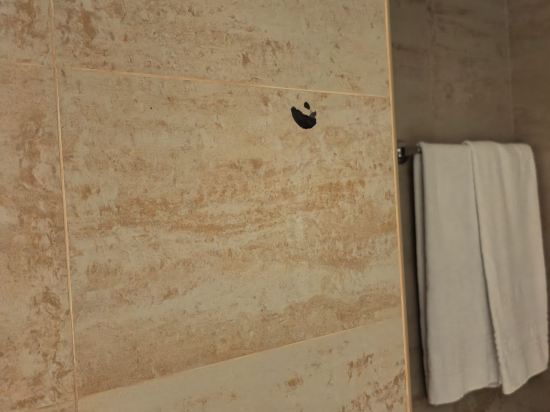 聖塔卡塔林那波爾圖市中心美居酒店優惠