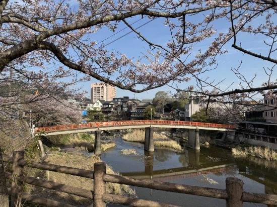 嬉野温泉　茶心の宿　和楽園 クーポン