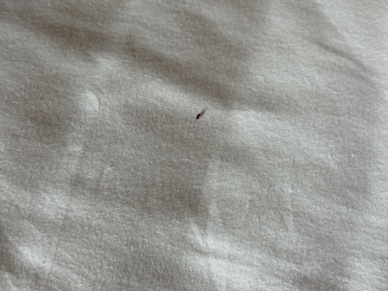 久住高原小屋飯店優惠