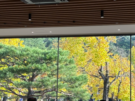 코모도호텔 경주 쿠폰