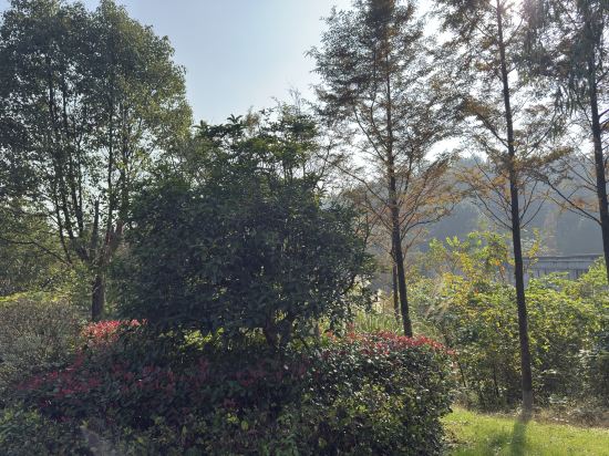 大樂之野（安吉桃花源店）優惠