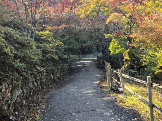 ハミルトン宇礼志野 クーポン