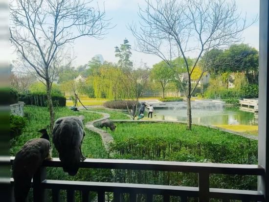 陽朔悦榕莊優惠