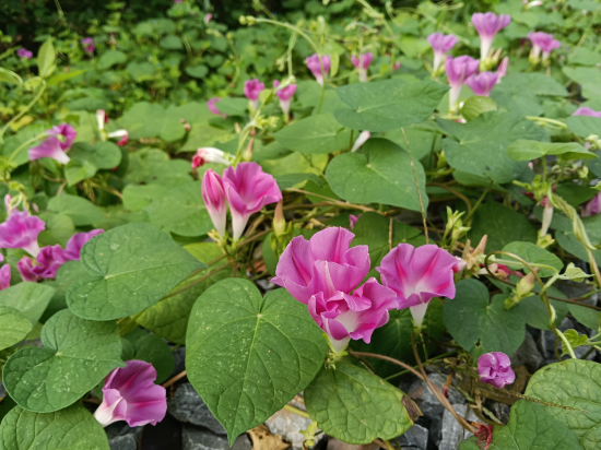 十堰萬德國際大酒店優惠