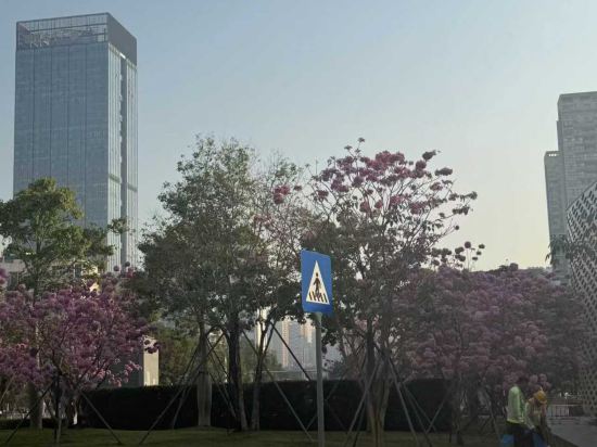 深圳大學南山科技園芮汐酒店優惠