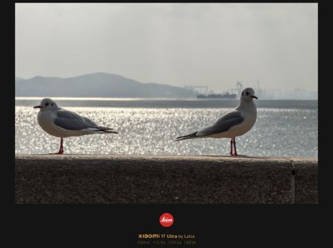 青島海天大酒店優惠