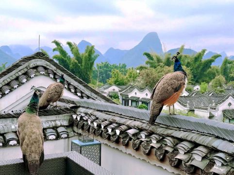 陽朔悦榕莊優惠