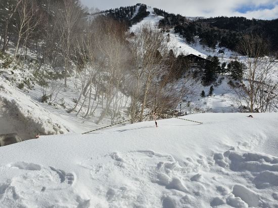 万座温泉 日進舘 クーポン