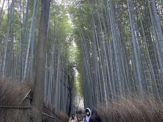 祗園SORA青年旅舍優惠