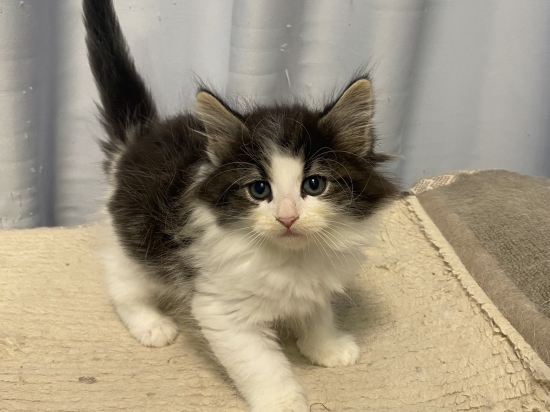 遠悦飯店高雄愛河館優惠