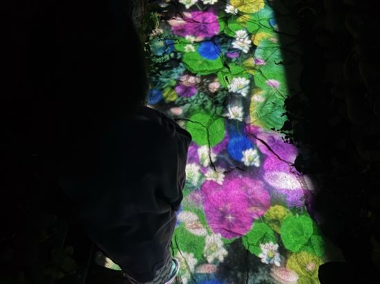 ホテル鹿の湯 クーポン