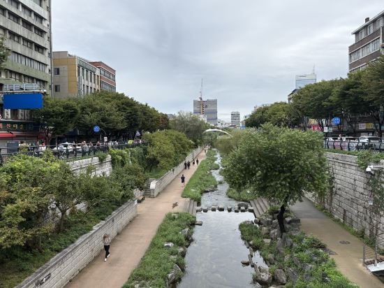 東大門金色城市飯店優惠