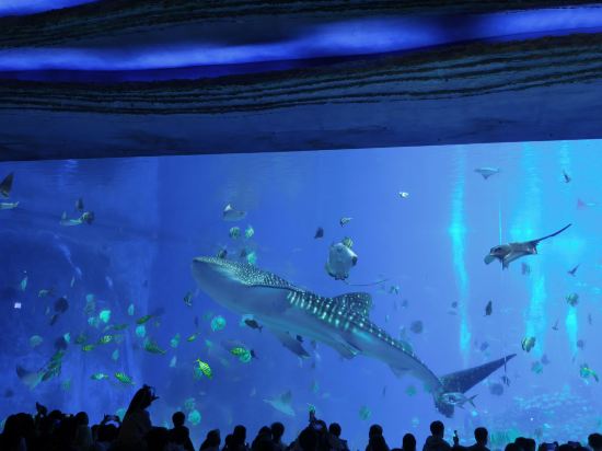 珠海長隆企鵝酒店優惠