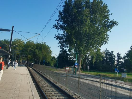 澤伊達斯城市巢穴優惠