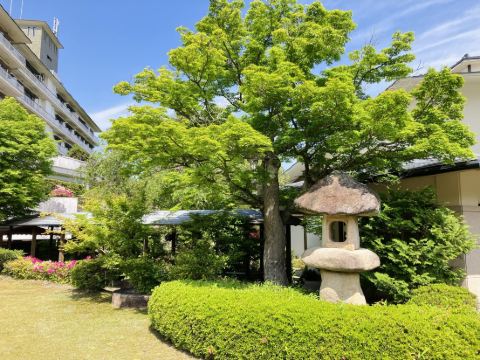 兵衛向陽閣 クーポン