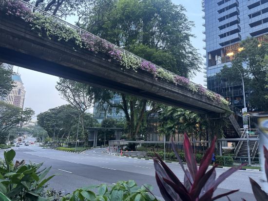 新加坡四季酒店 （Staycation Approved）優惠