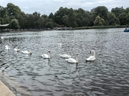 戴斯海德公園飯店優惠