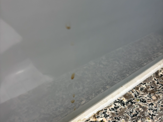 藏闊渡假會館優惠