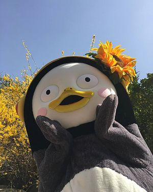 제주신라호텔 쿠폰