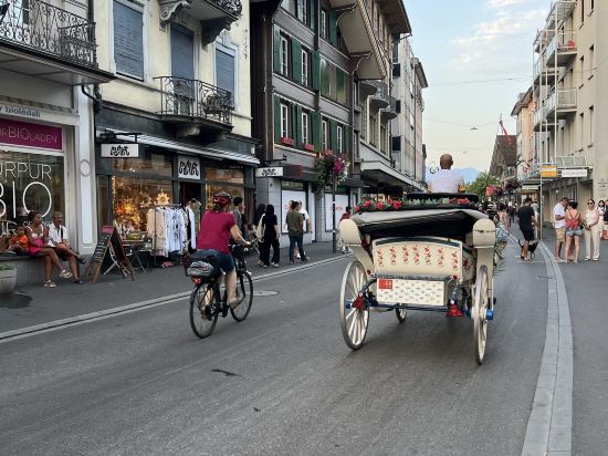維賽斯克魯茲酒店優惠
