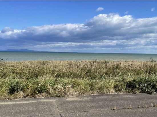 帶廣舒適飯店優惠