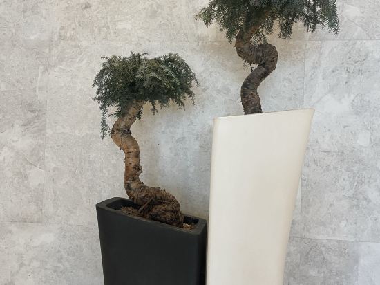 上海寶華喜來登酒店優惠