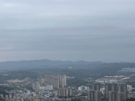 惠州皇冠假日酒店優惠