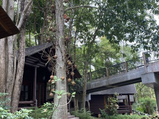 菲利亞温泉度假村優惠