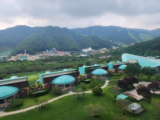 소노펠리체 비발디파크 쿠폰