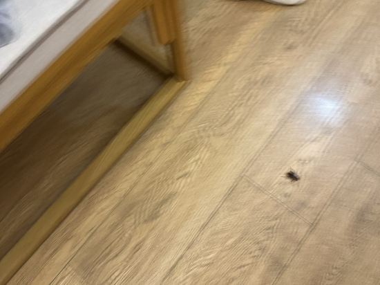 御江苑維福頓公寓（廣州北京路海珠廣場地鐵站店）優惠
