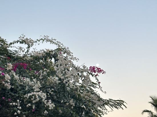 有漾公寓（廈門北站店）優惠