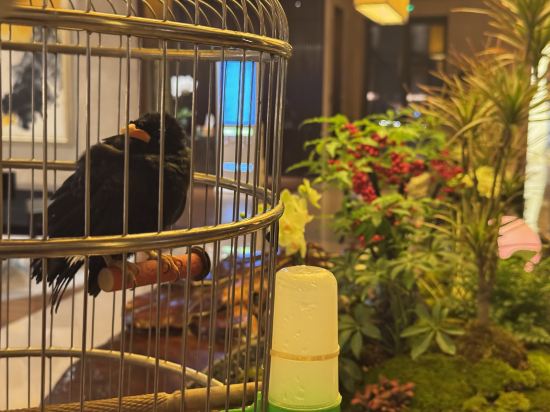 杭州千禧度假酒店優惠