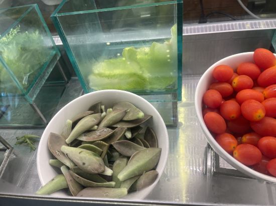 宜蘭力麗威斯汀度假飯店優惠