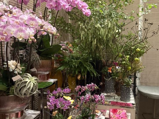 香港瑰麗酒店優惠