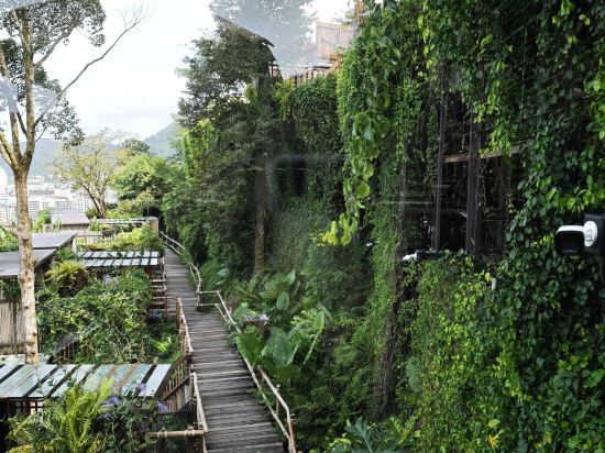 布吉丁索度假村 （SHA Extra Plus）優惠