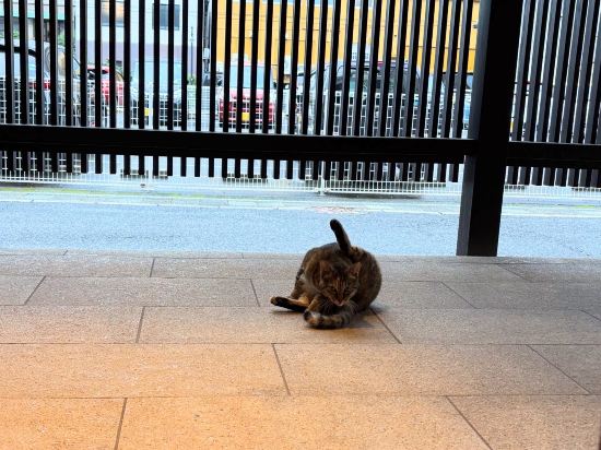 別府温泉　悠彩の宿　望海 クーポン