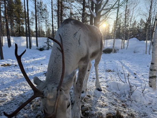 北極冰雪飯店及玻璃屋優惠
