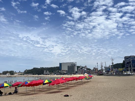 蓮花門酒店優惠
