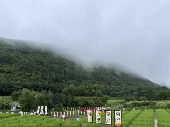 興義莫莫民宿優惠