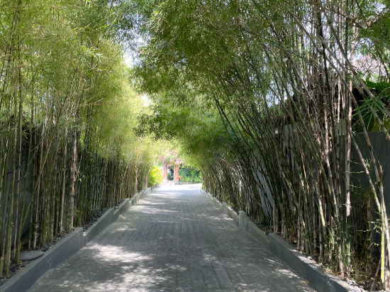 海神廟納特雅酒店優惠