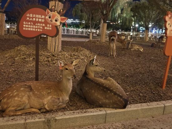 唐山國豐維景國際大酒店優惠
