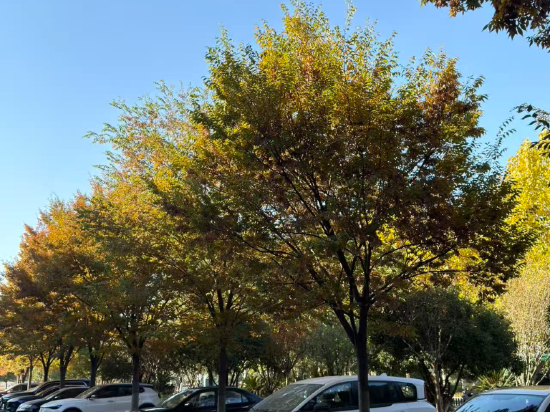 義烏博覽皇冠假日酒店優惠