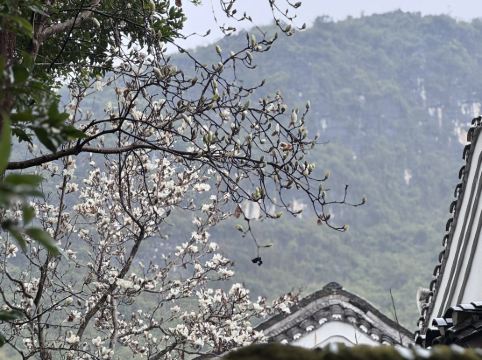陽朔悦榕莊優惠