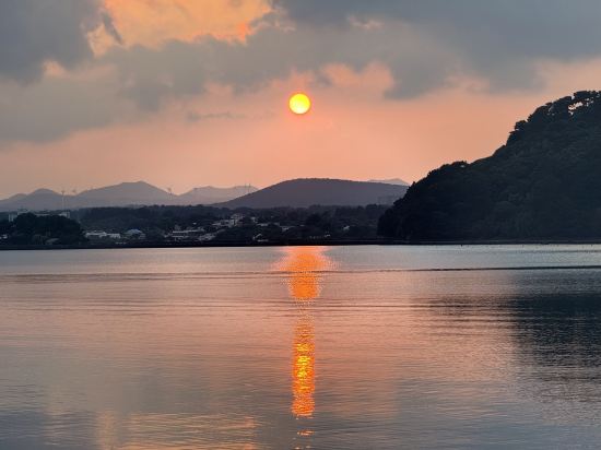 브리즈베이 호텔 쿠폰