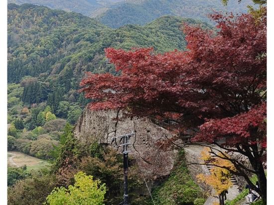 山形站前里士滿飯店優惠