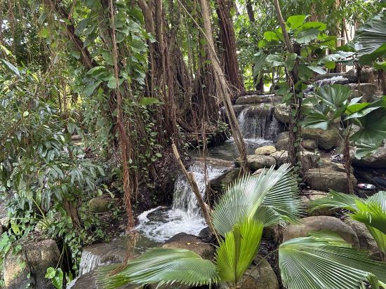 布吉希爾頓阿卡迪亞温泉度假酒店 （SHA Extra Plus）優惠