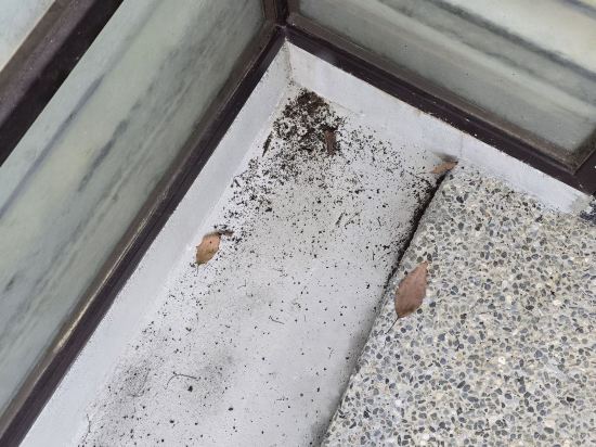 景大渡假莊園優惠