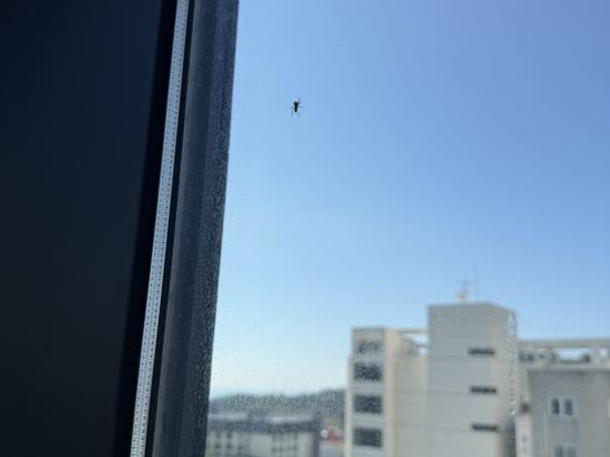 欣欣酒店天地淵優惠